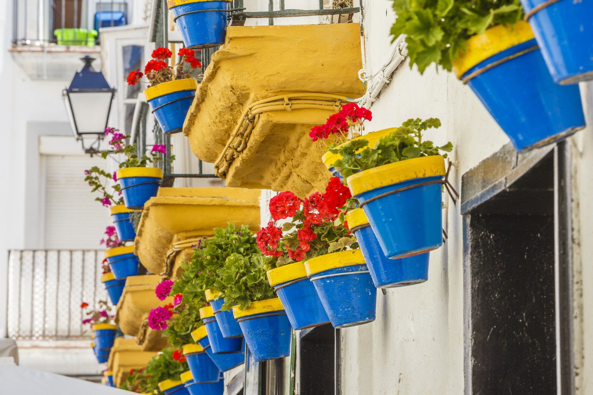 El Barrio de La Viña