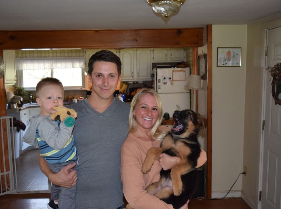 Watchman German Shepherd’s