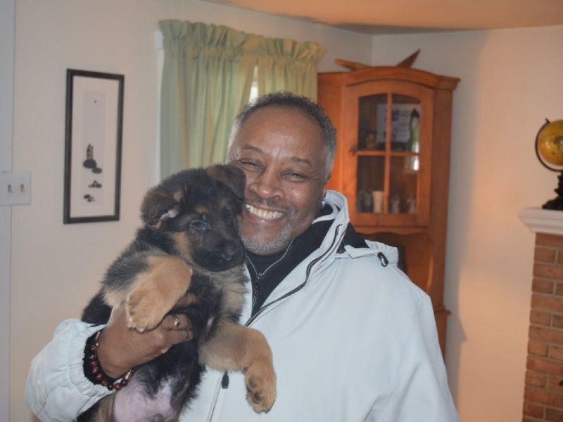 Watchman German Shepherd’s