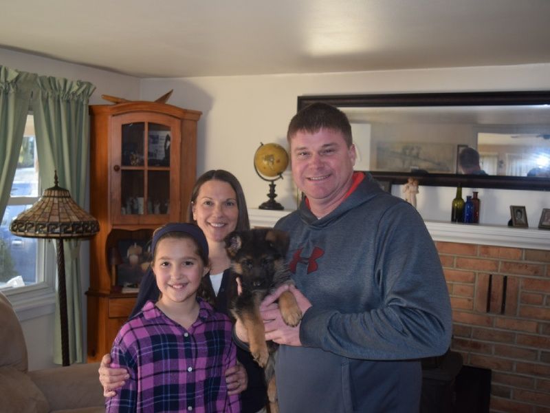 Watchman German Shepherd’s