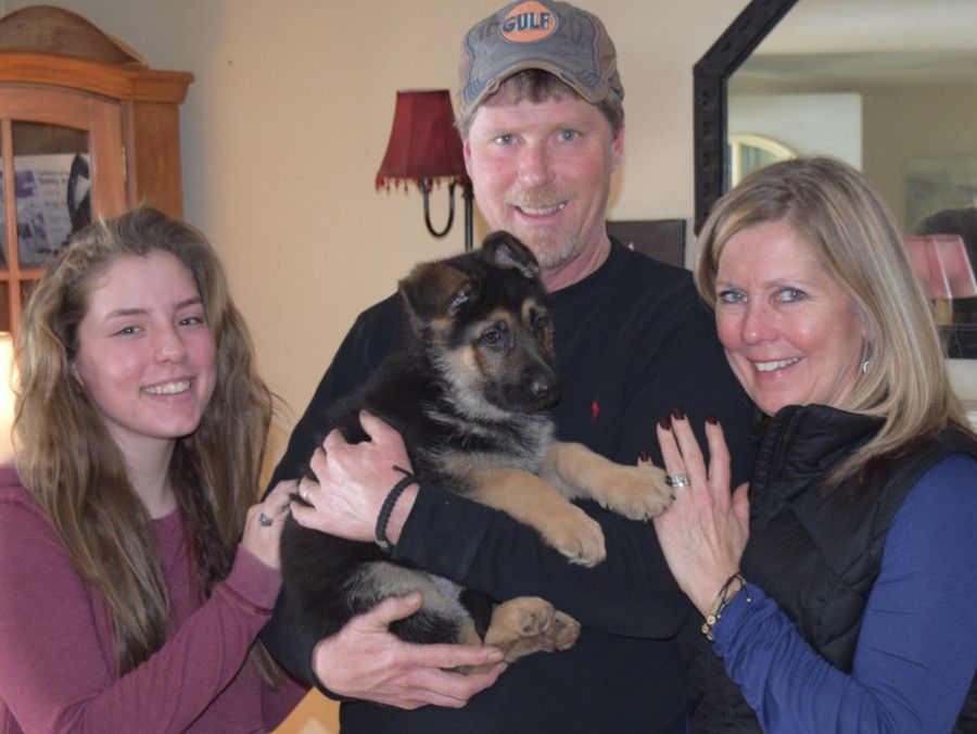 Watchman German Shepherd’s