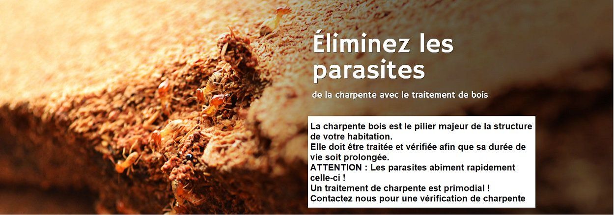 entretien charpente Montigny-les-Cormeilles 95370
