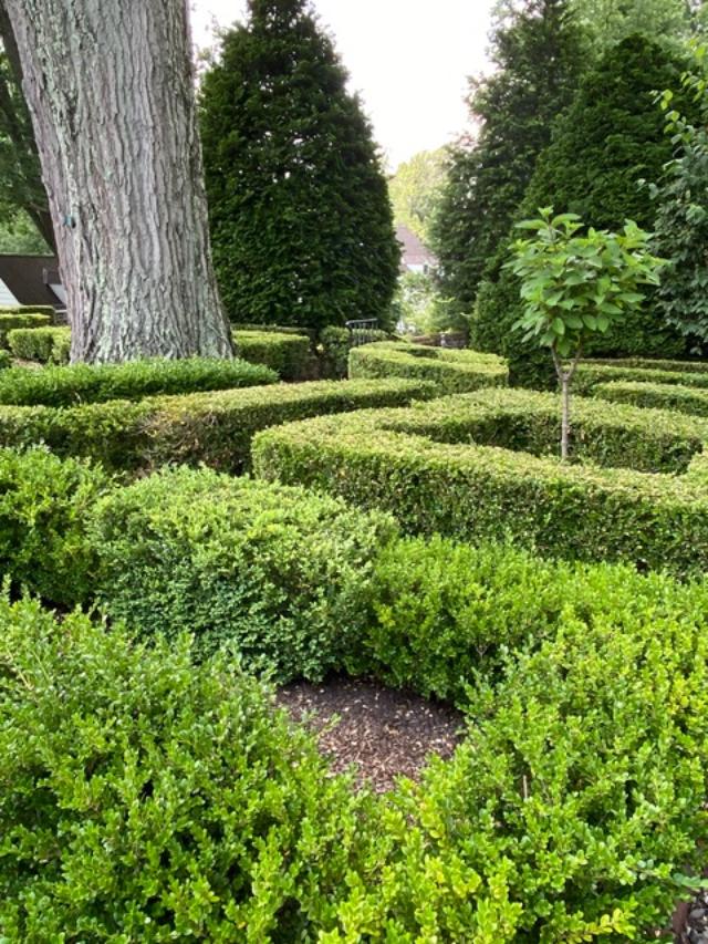 Boxwood Garden at Appleford
