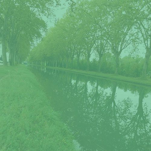 Springe zu Leadership