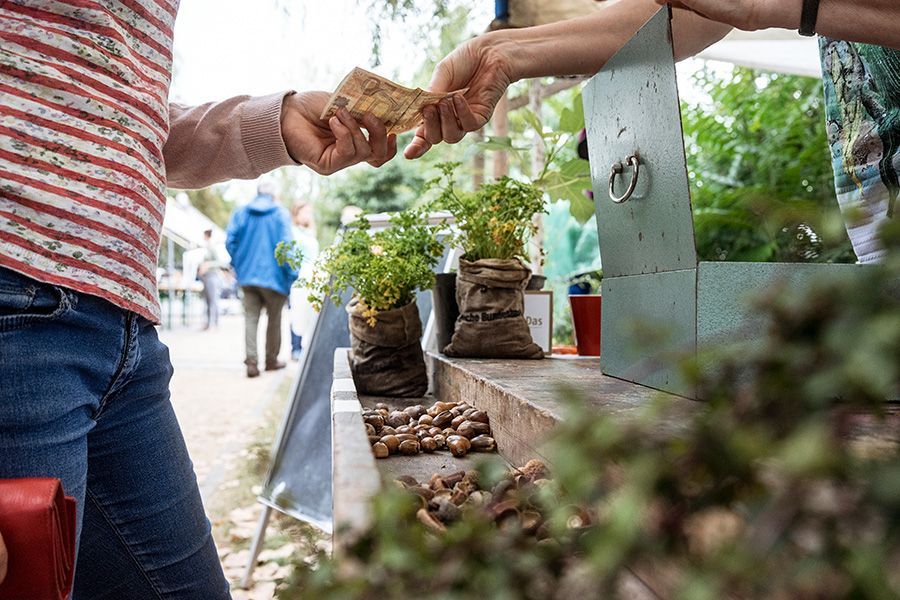 Wandeltage - Tauschkasse