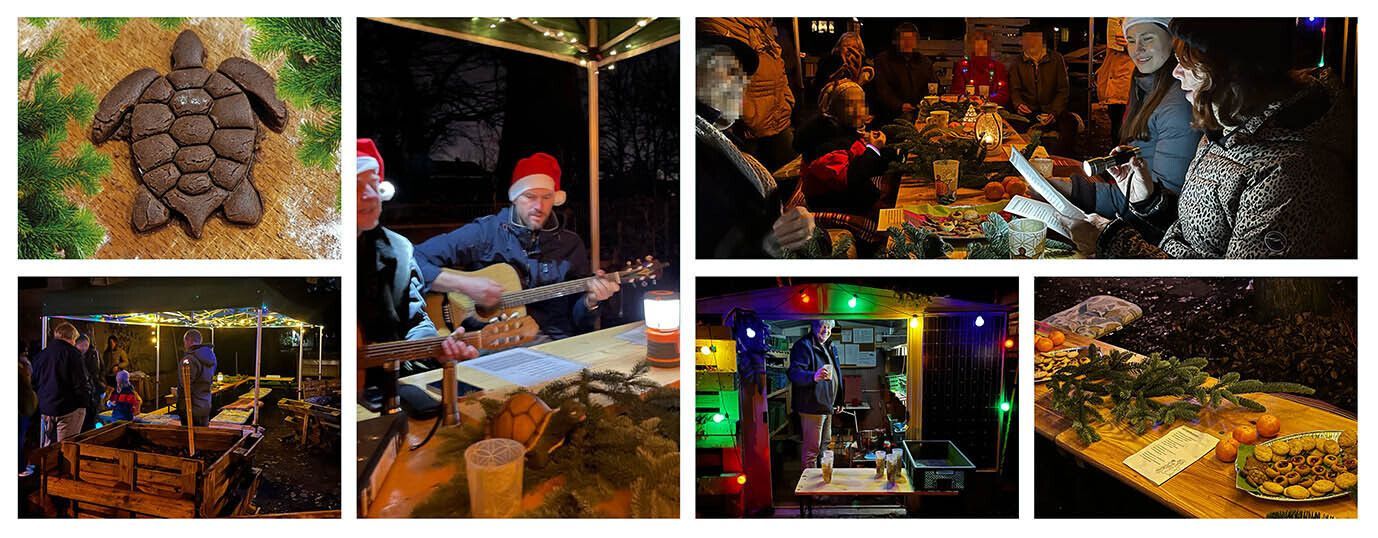 Collage Stimmungsbilder von Tortuga-Aktionen