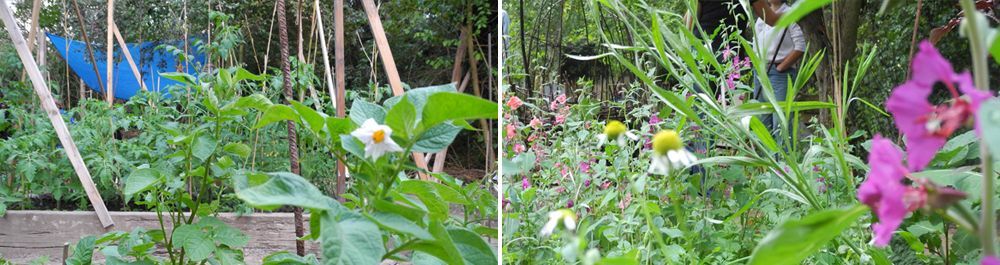 Garten Eckenheim