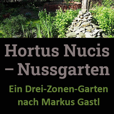 Hortus-Nucis-Kachel