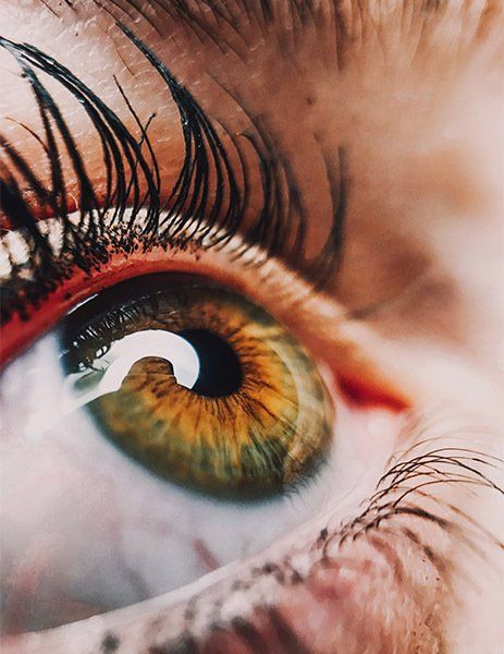 Especialista EMDR Alicante. Psicóloga. Trastorno de estrés postraumático, fobias, ansiedad, trastorno obsesivo compulsivo, trastornos alimentarios, duelo.