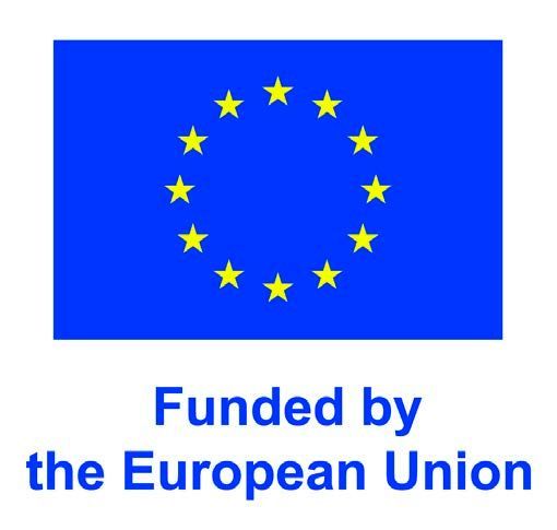 BANDERA UNION EUROPEA