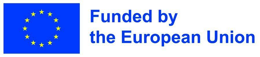 BANDERA UNION EUROPEA