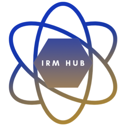 LOGO PROYECTO IRMHUB