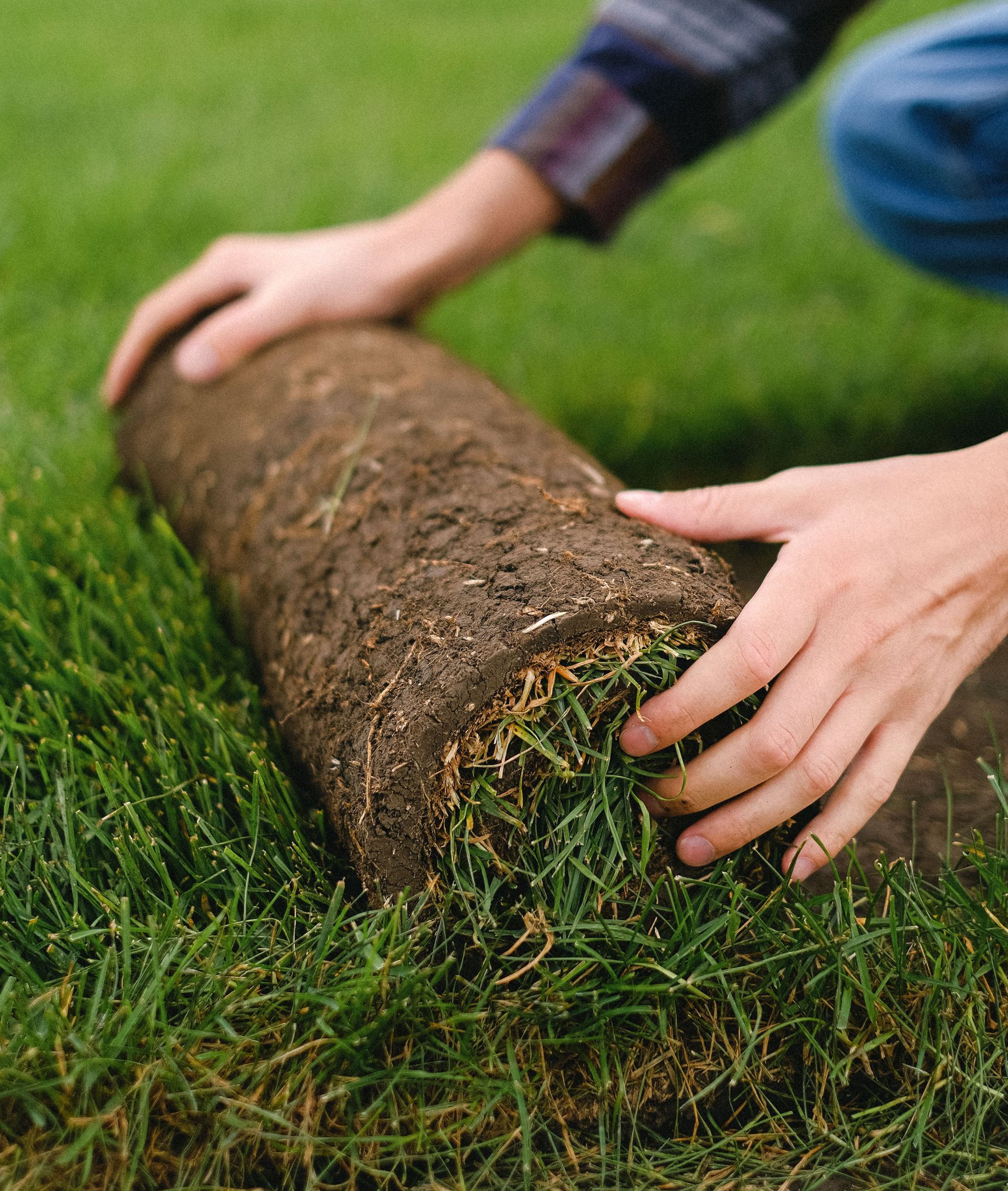 Remediación por colocación de tecnosoles