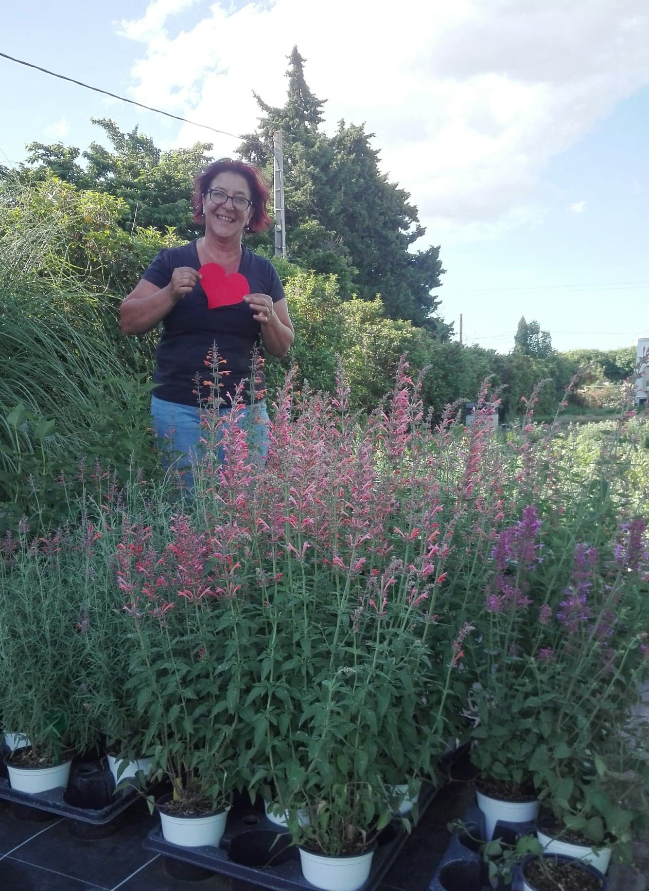 Alexandra Vlaar Alexandra Vlaar