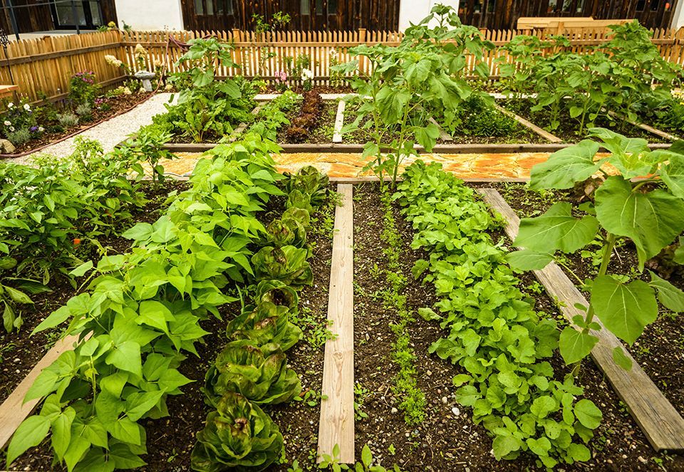 Potager Bio