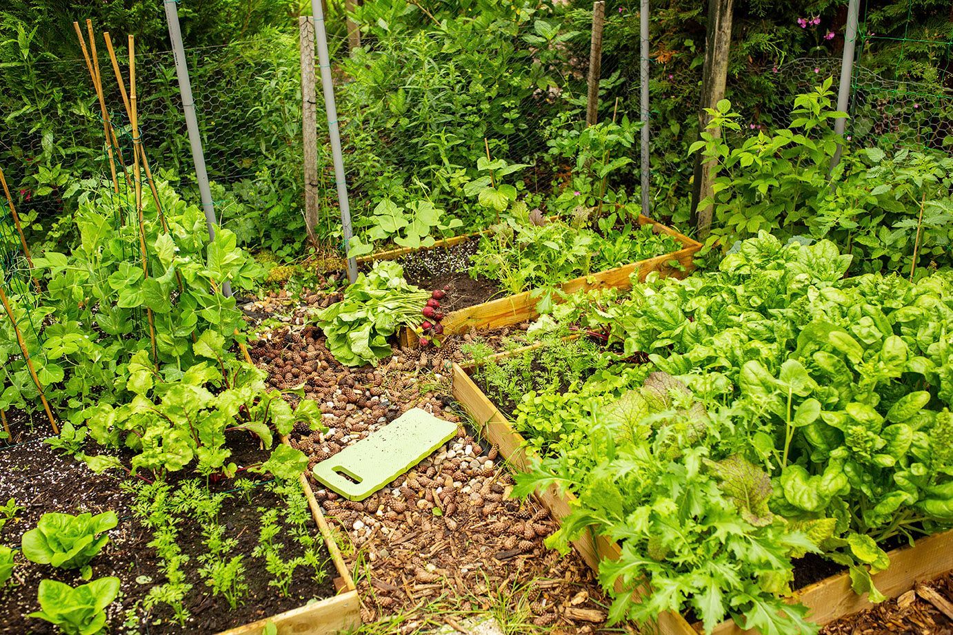 Potager Bio