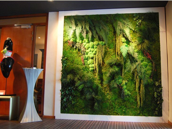 Access Vert paysagiste Aix en Provence création de mur végétal