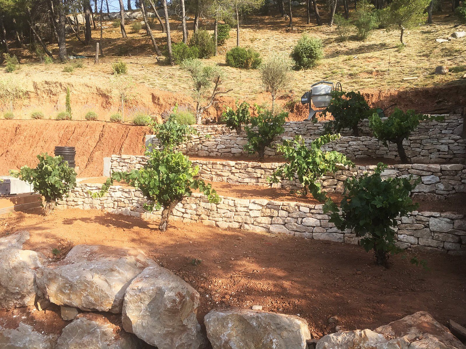 Access Vert création de paysage, plantations et gazon synthètique