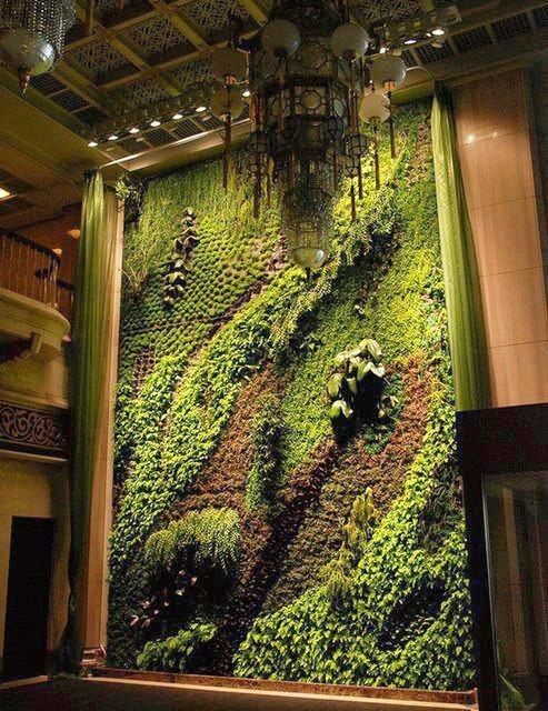 Access Vert paysagiste Aix en Provence création de mur végétal