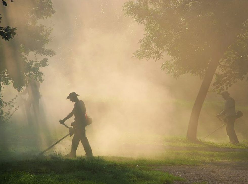 Access Vert paysagiste Aix en Provence pour taille tonte entretien et débroussaillage de votre jardin