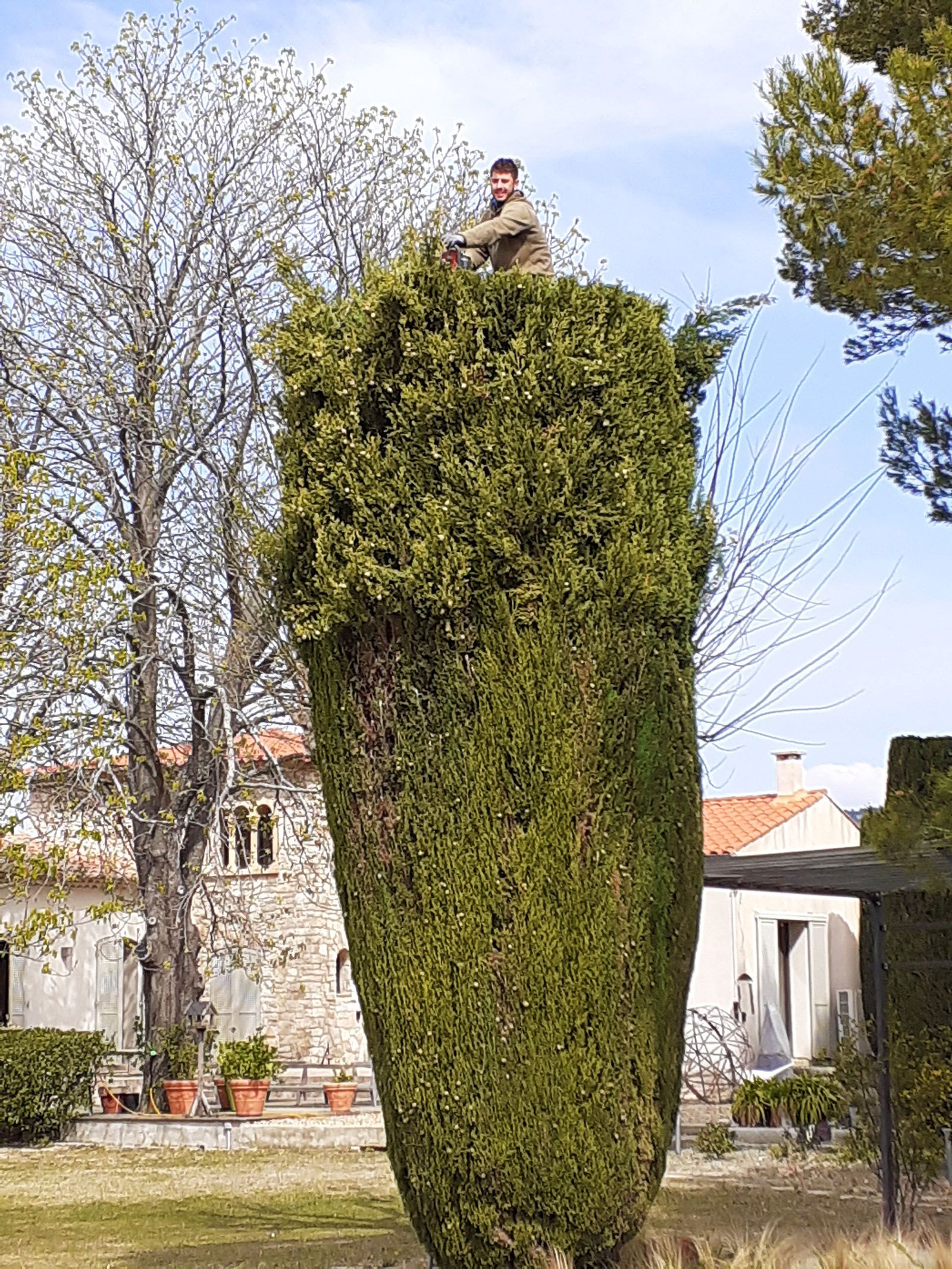 Access Vert paysagiste Aix en Provence pour taille tonte entretien et débroussaillage de votre jardin