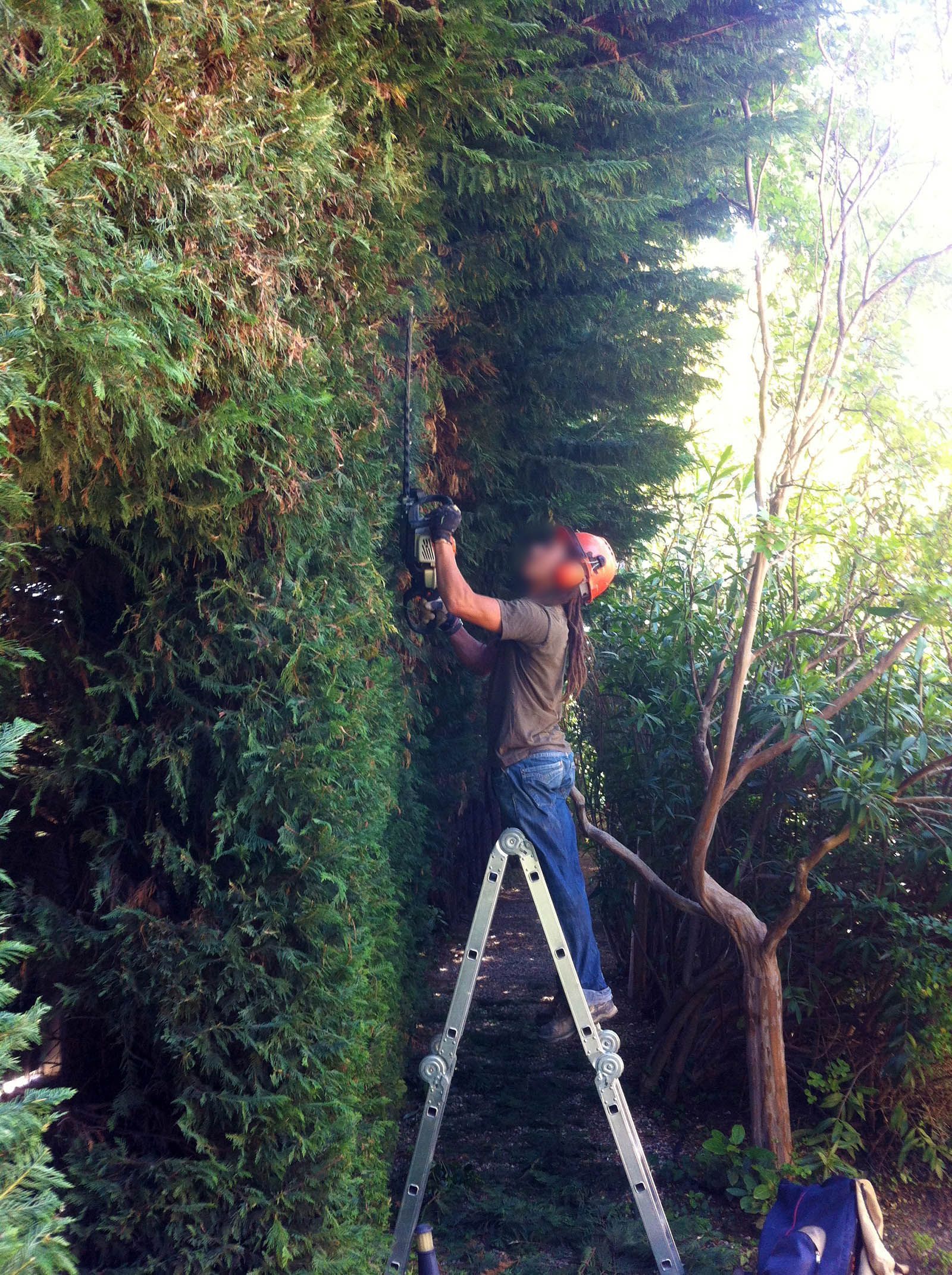 Access Vert paysagiste Aix en Provence pour taille tonte entretien et débroussaillage de votre jardin