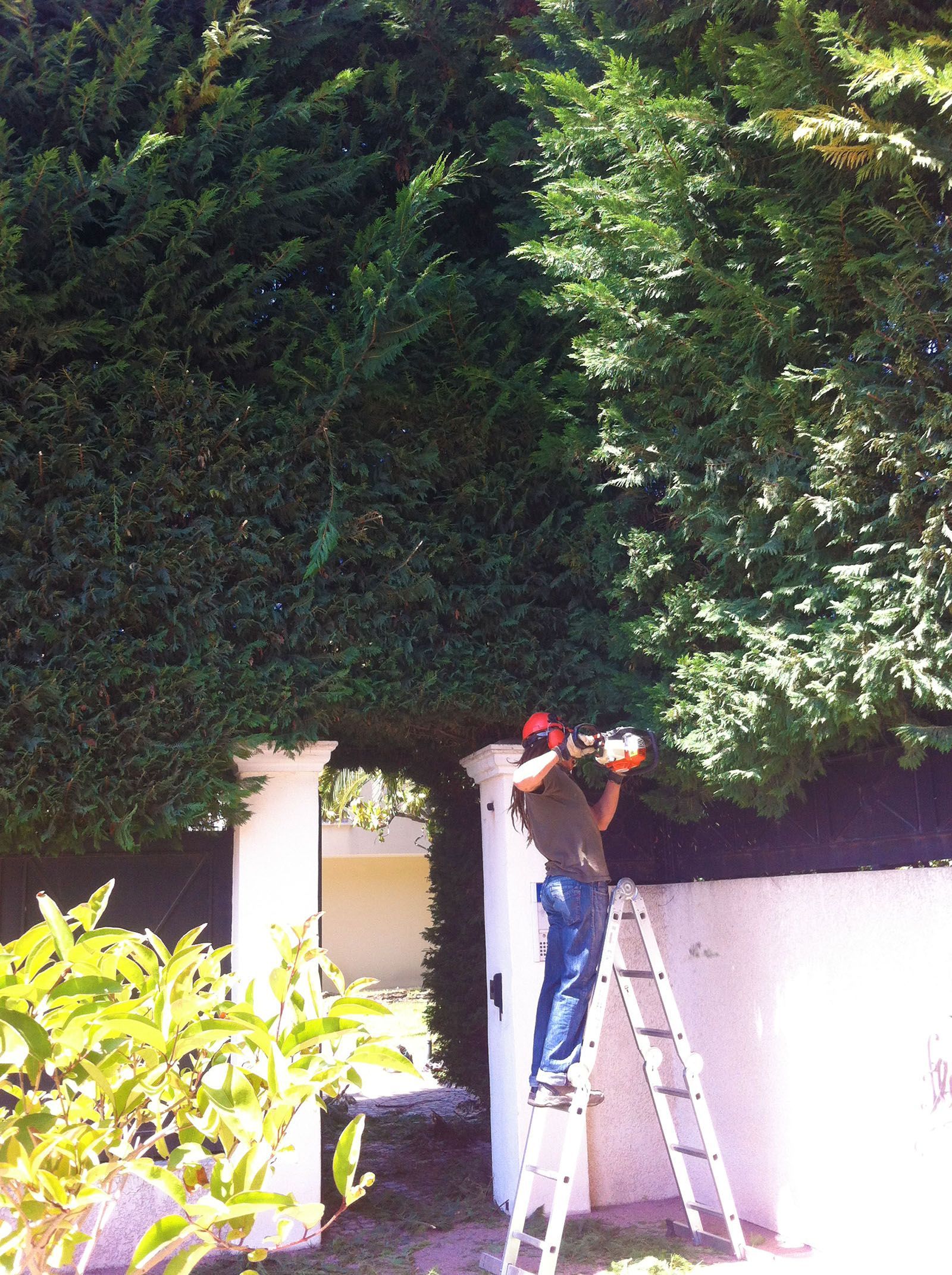 Access Vert paysagiste Aix en Provence