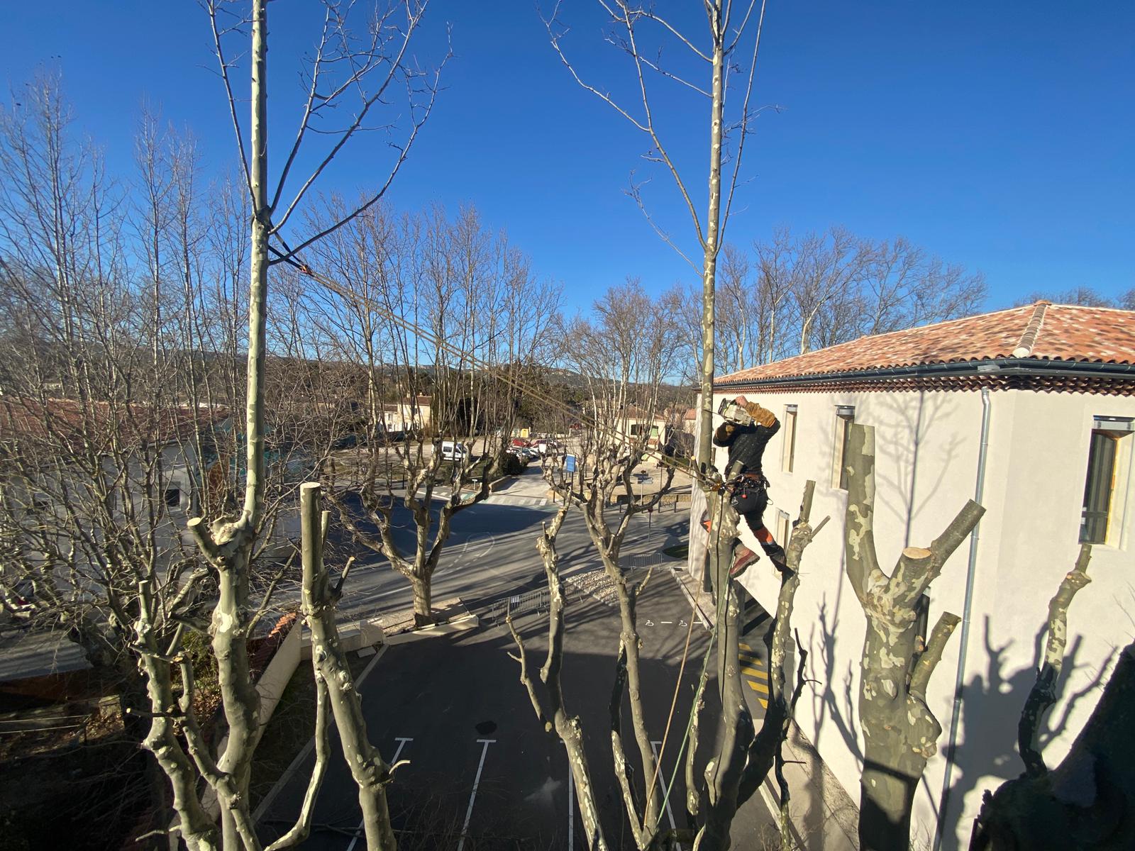 Access Vert paysagiste Aix en Provence Abatage et élagage