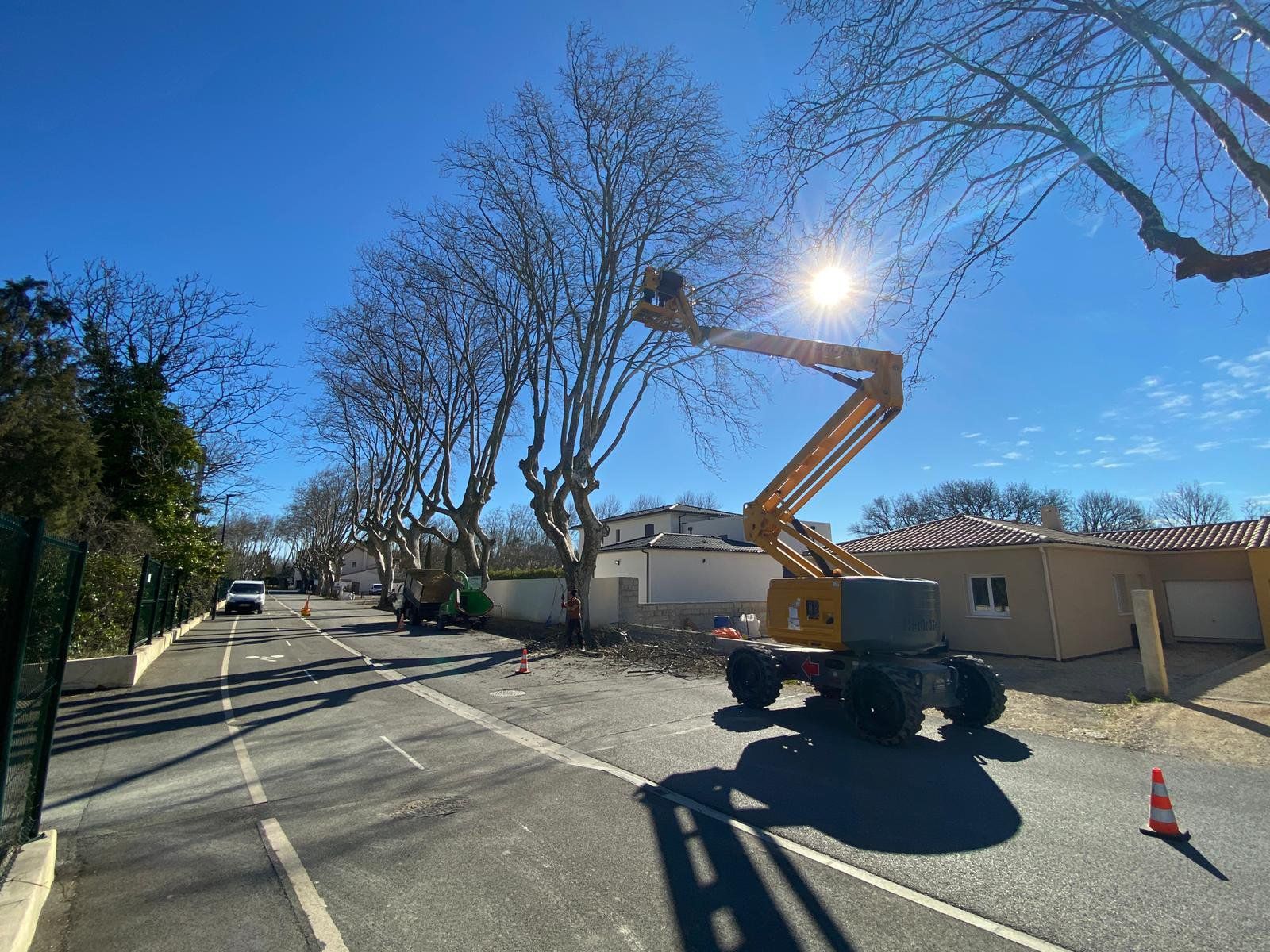 Access Vert paysagiste Aix en Provence Abatage et élagage