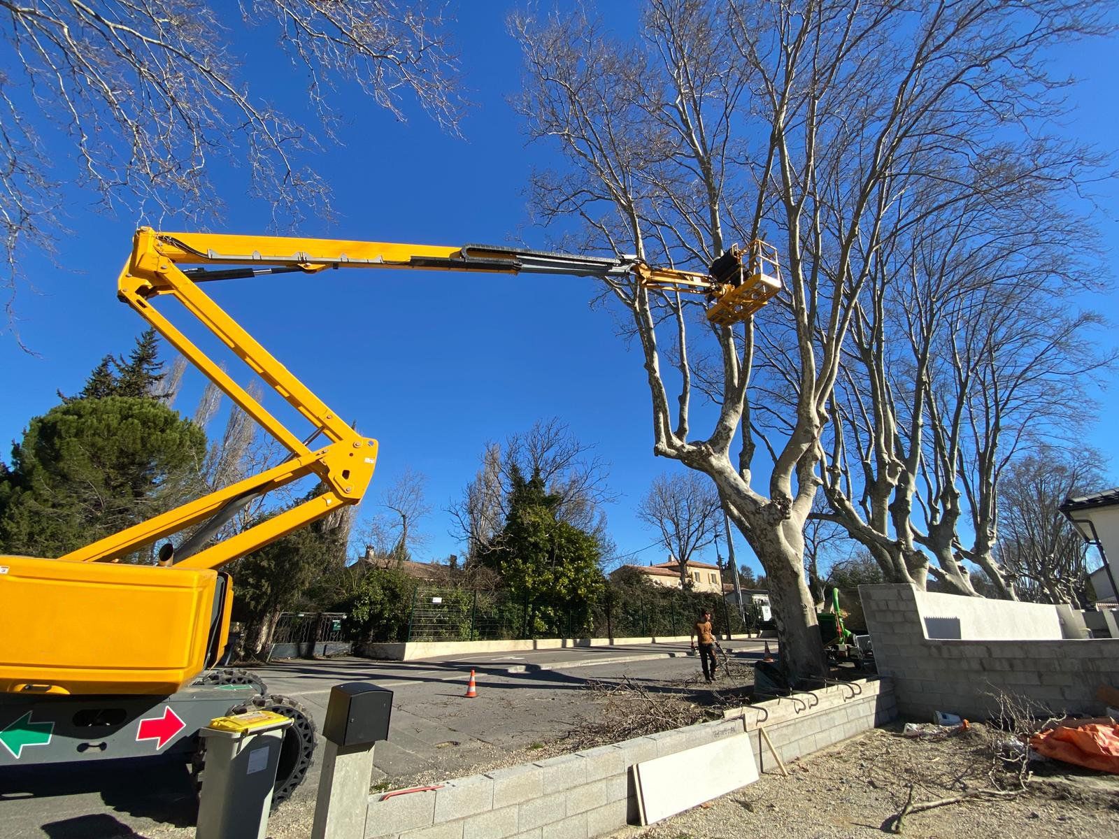 Access Vert paysagiste Aix en Provence Abatage et élagage