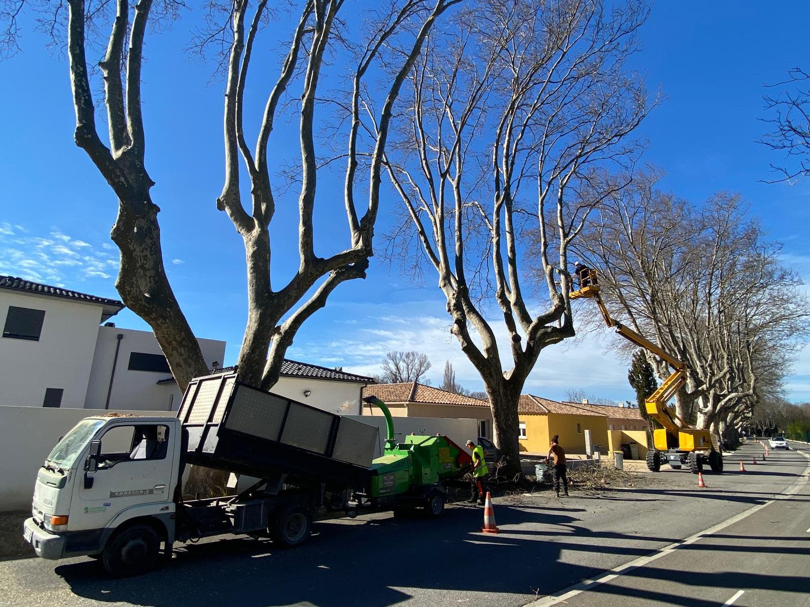Access Vert paysagiste Aix en Provence Abatage et élagage