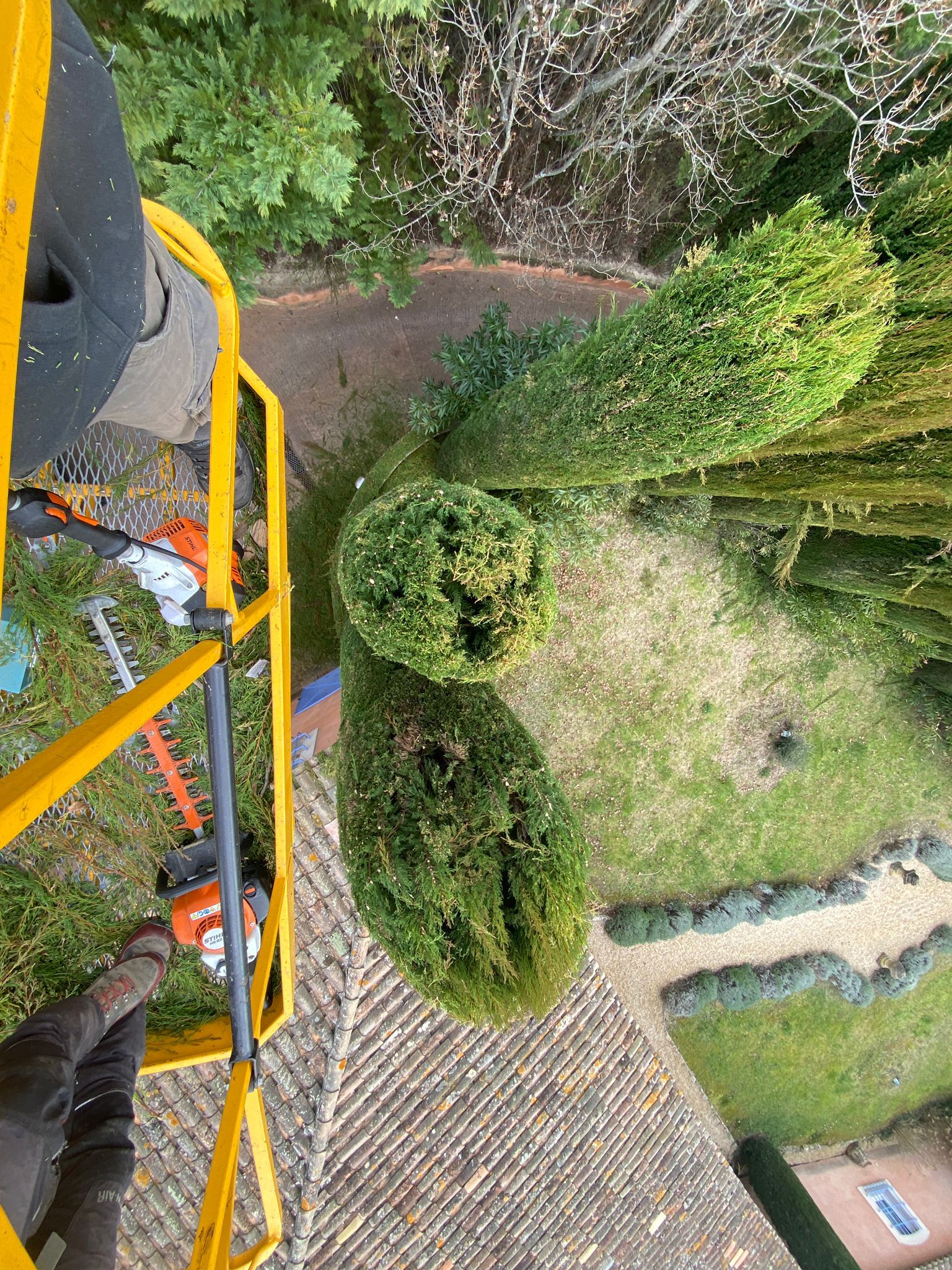 Access Vert paysagiste Aix en Provence pour taille tonte entretien et débroussaillage de votre jardin