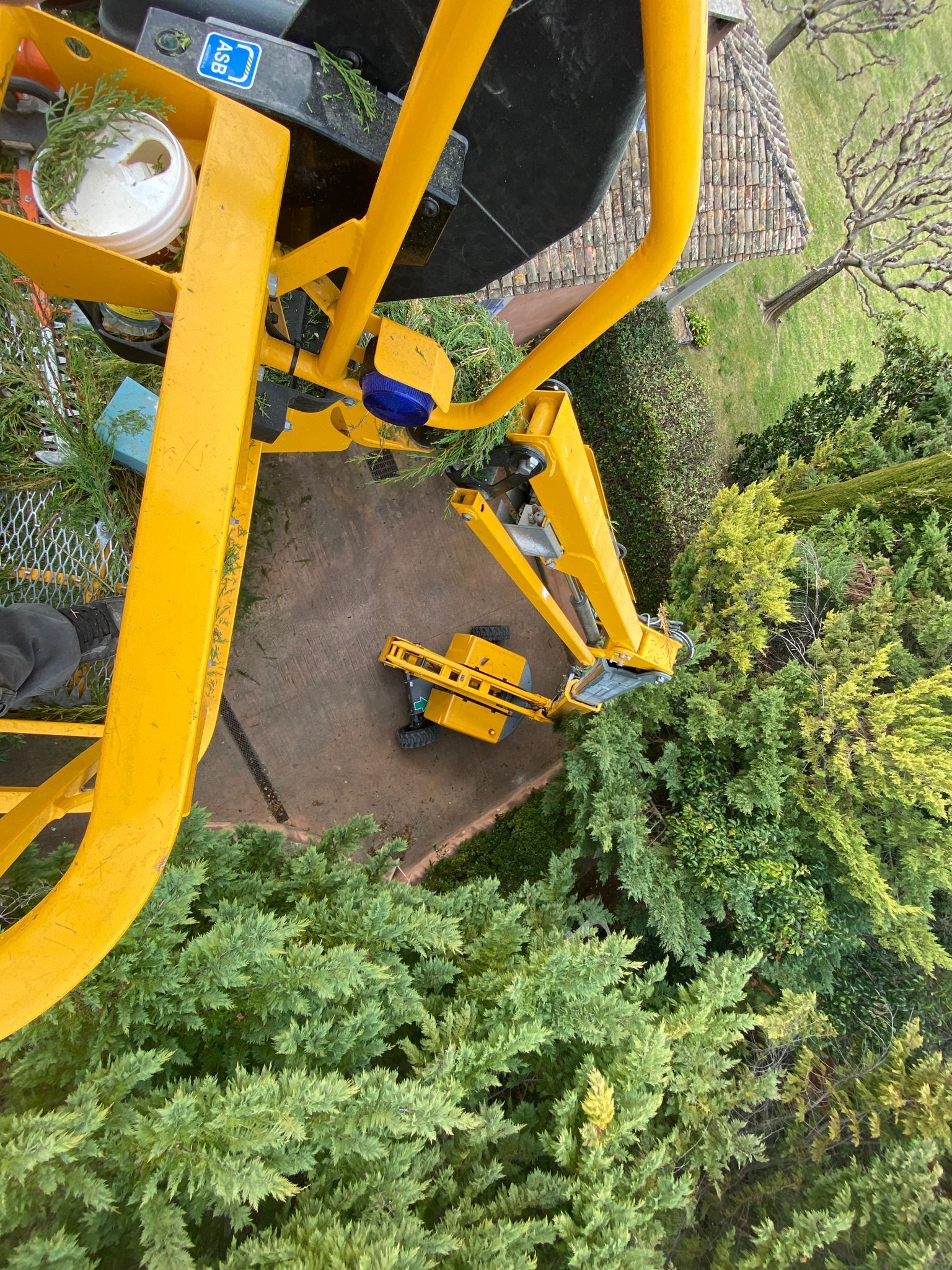 Access Vert paysagiste Aix en Provence pour taille tonte entretien et débroussaillage de votre jardin