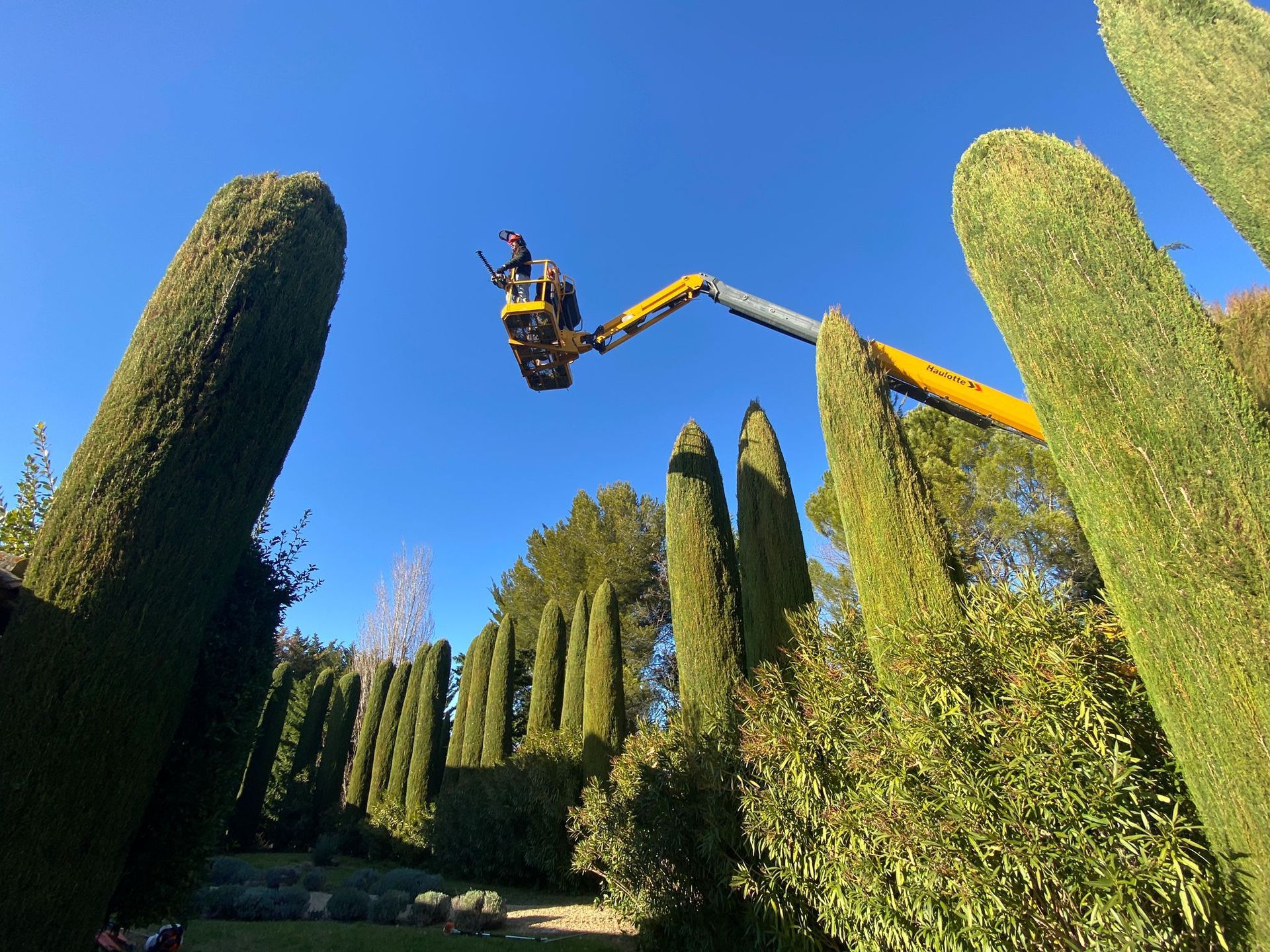 Access Vert paysagiste Aix en Provence pour taille tonte entretien et débroussaillage de votre jardin