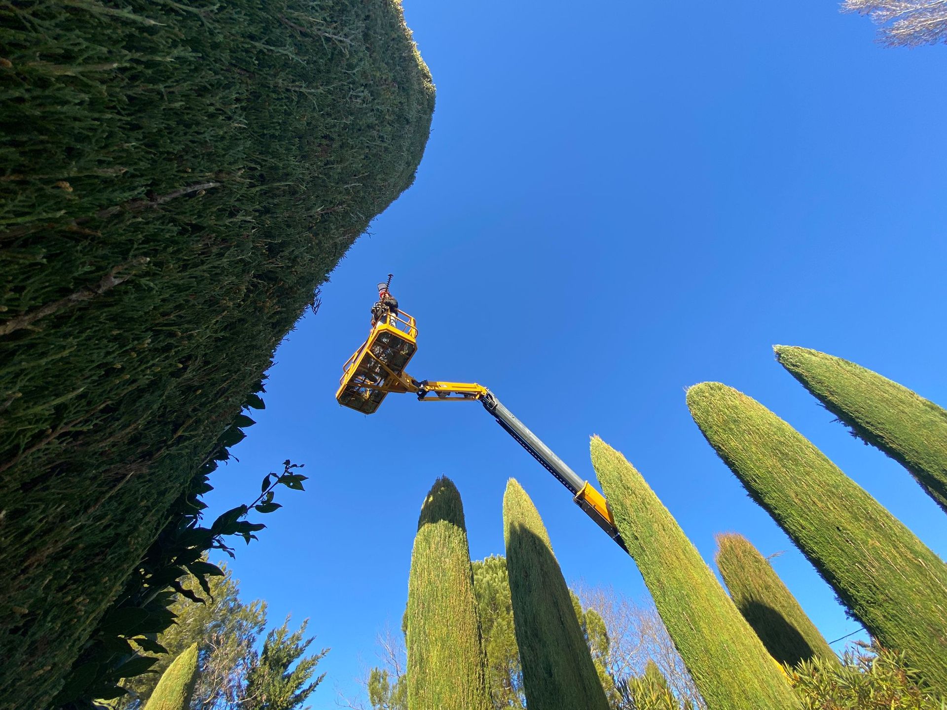 Access Vert paysagiste Aix en Provence pour taille tonte entretien et débroussaillage de votre jardin