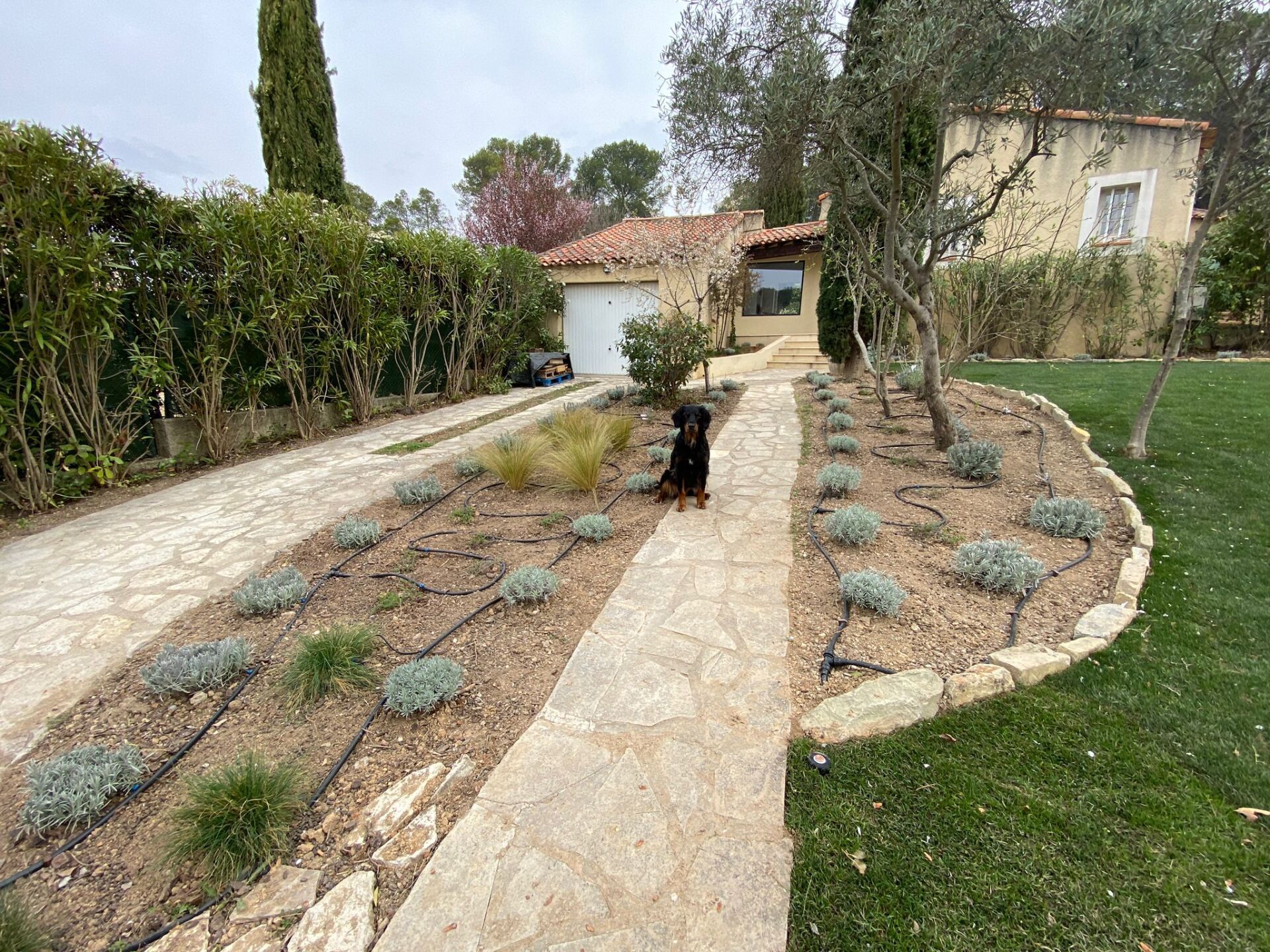 Access Vert création de paysage, plantations et gazon synthétique