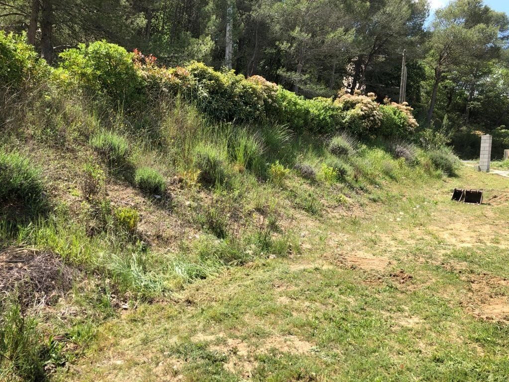 Access Vert création de paysage, plantations et gazon synthétique