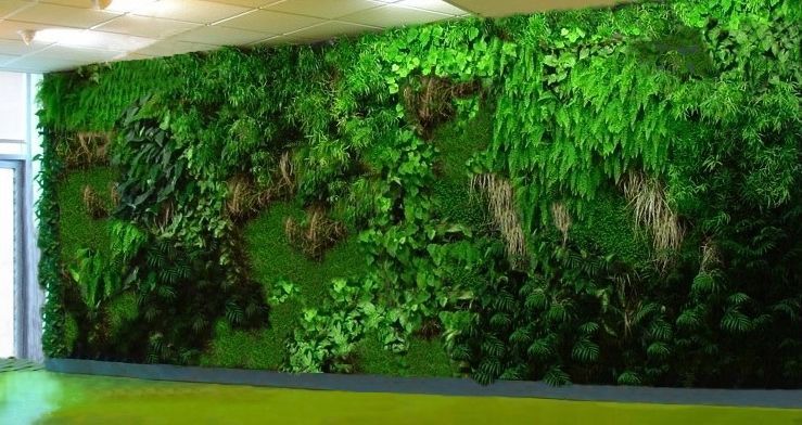 Access Vert paysagiste Aix en Provence création de mur végétal