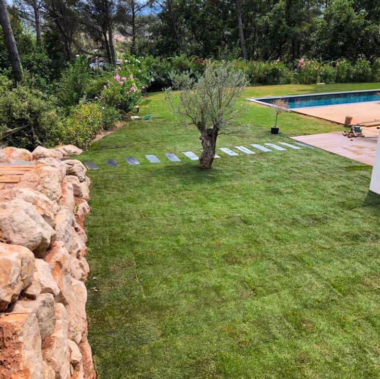 access-vert-apres-aix-en-provence-pose-de-gazon