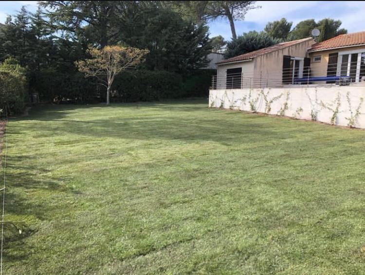 access-vert-apres-pose-de-gazon