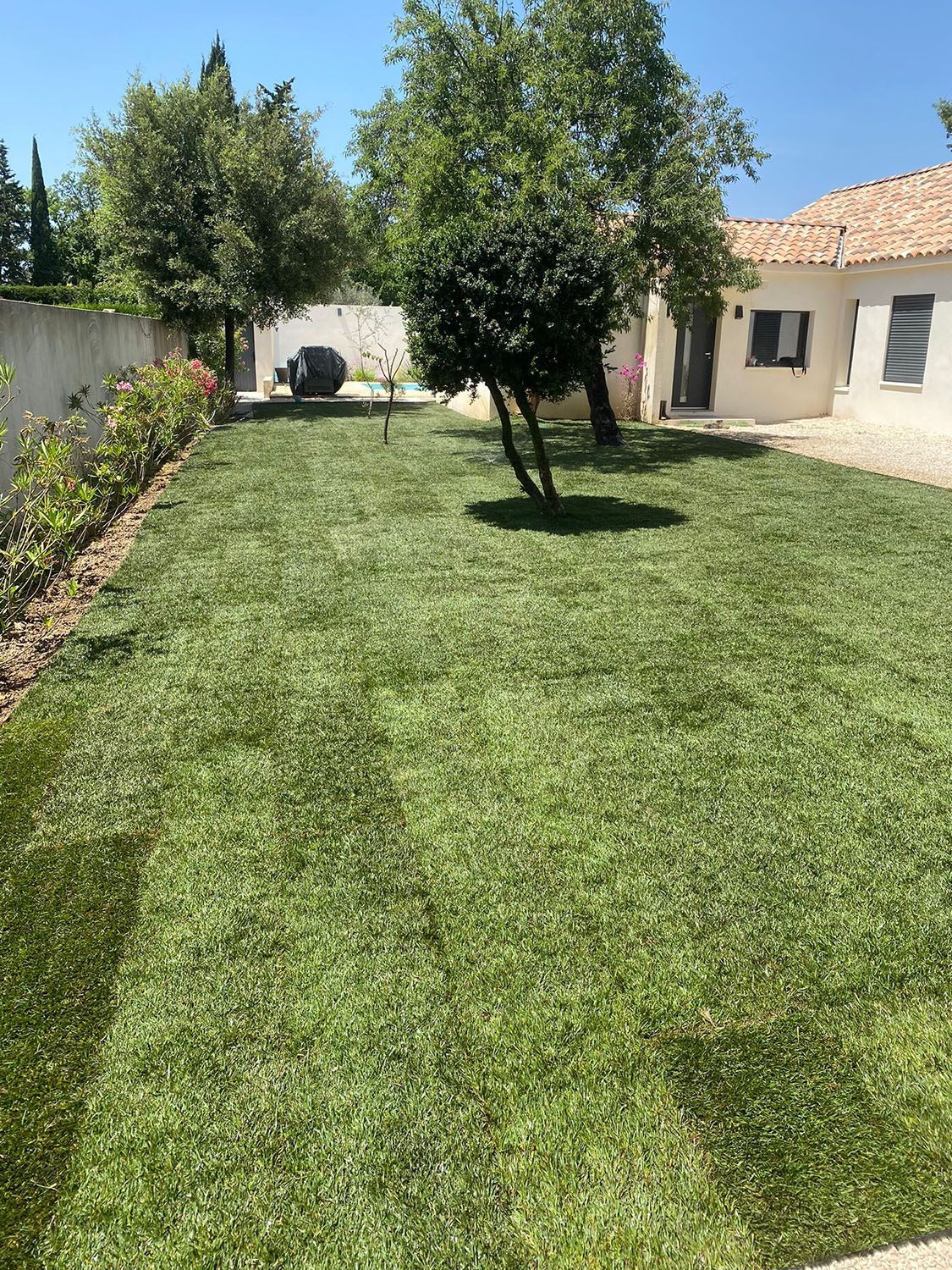 access-vert-eguilles-pose-de-gazon