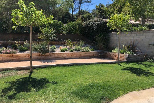 Access Vert création de paysage