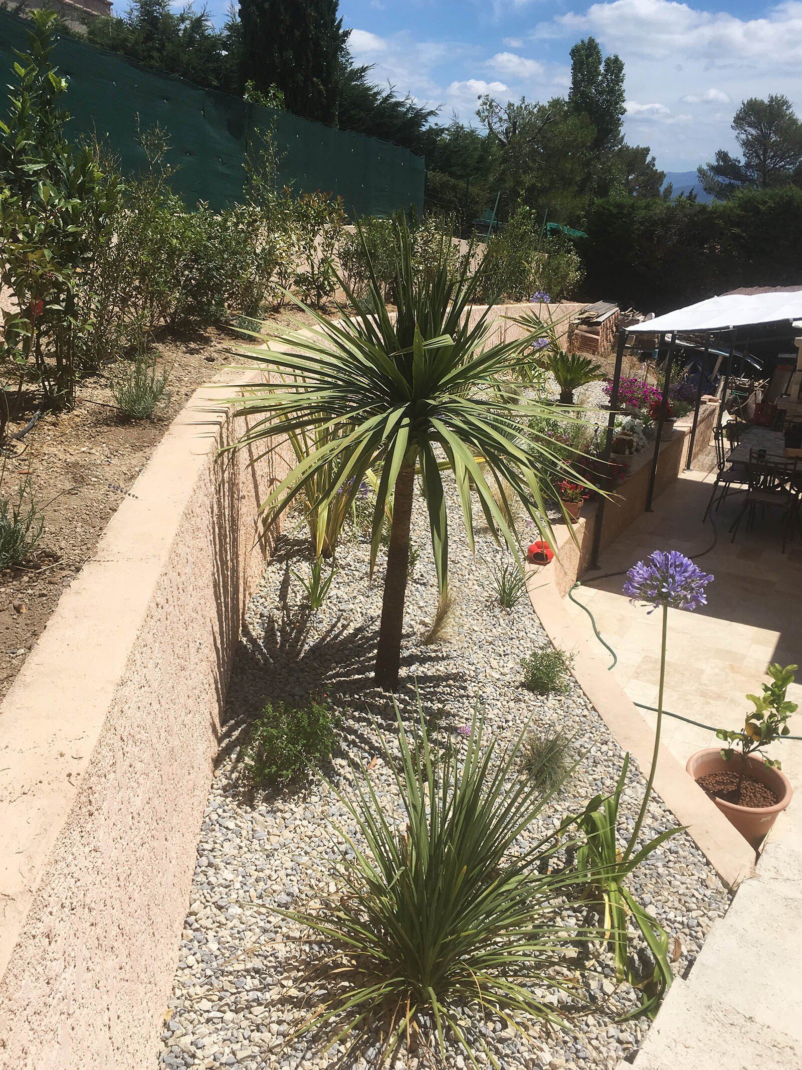 Access Vert création de paysage, plantations et gazon synthètique