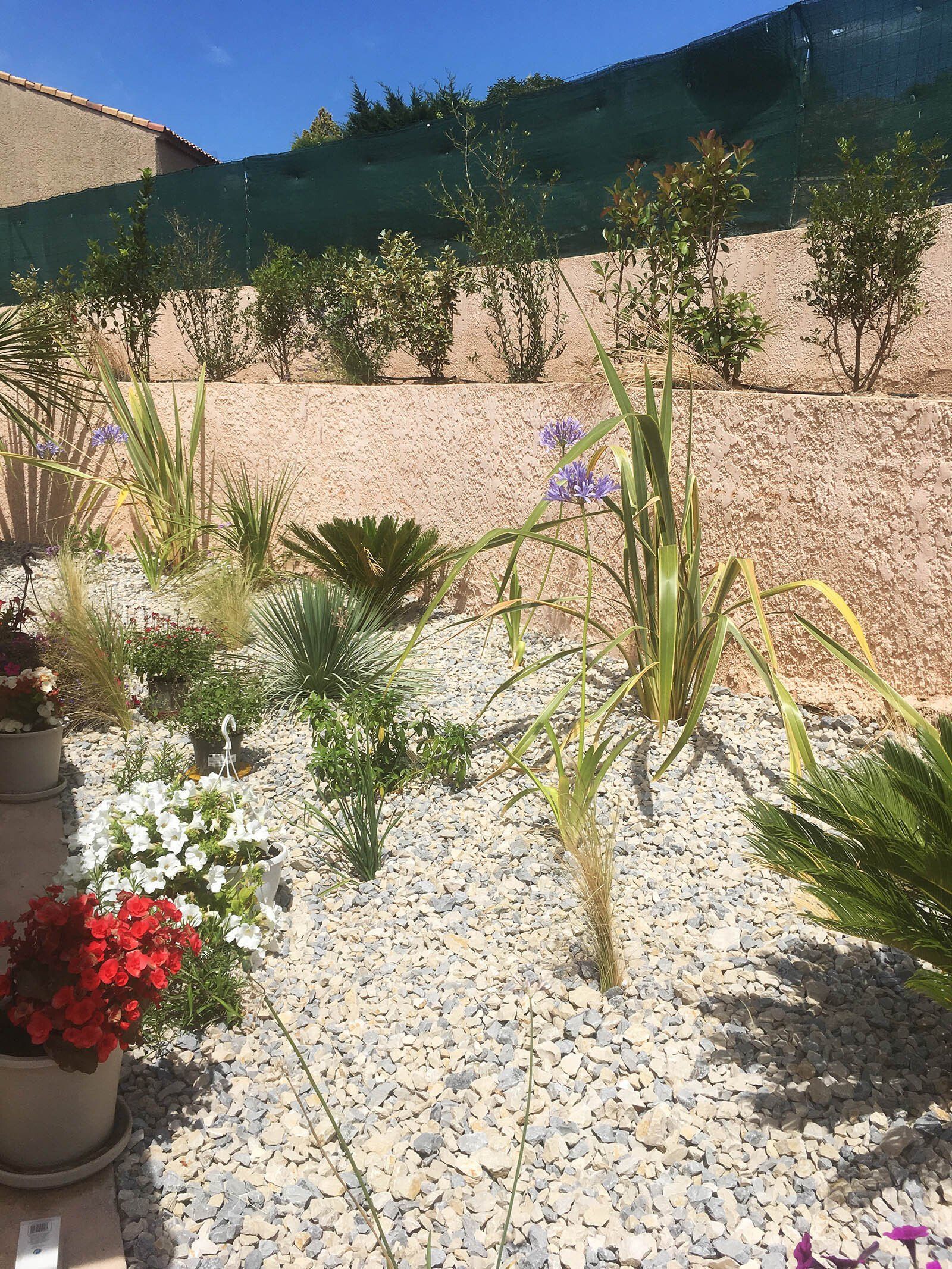 Access Vert création de paysage, plantations et gazon synthètique