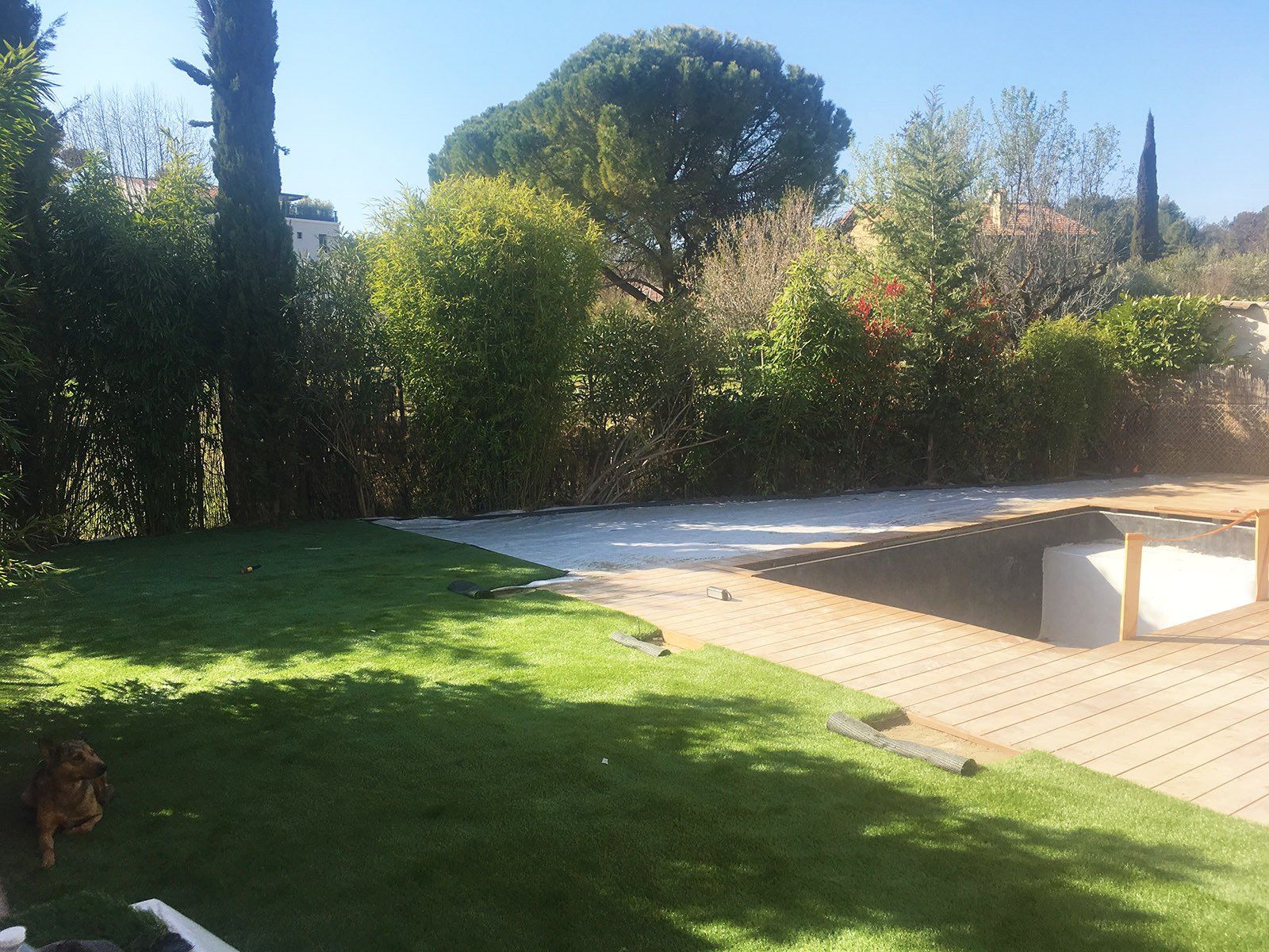 Access Vert création de paysage, plantations et gazon synthétique