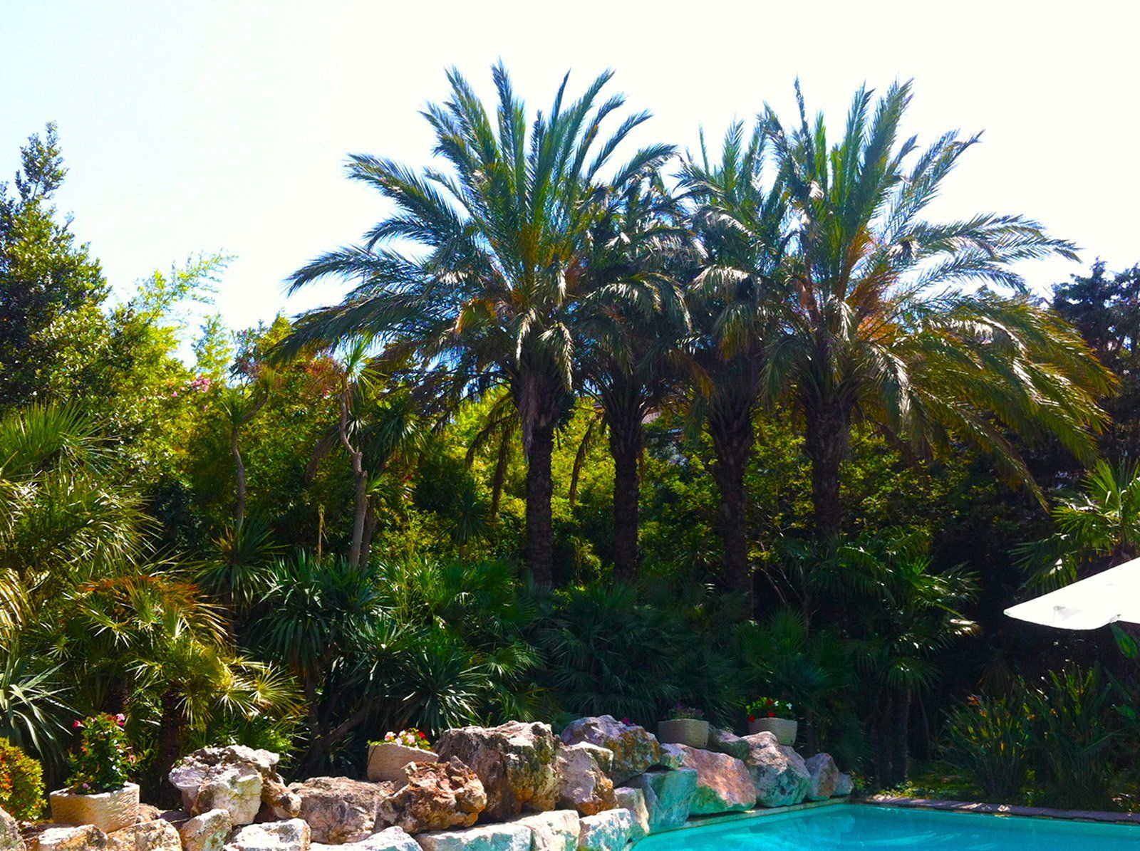 Access Vert paysagiste Aix en Provence