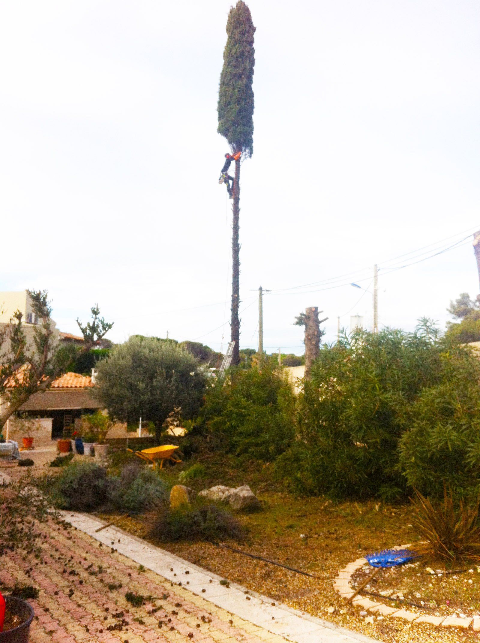 Access Vert paysagiste Aix en Provence Abatage et élagage