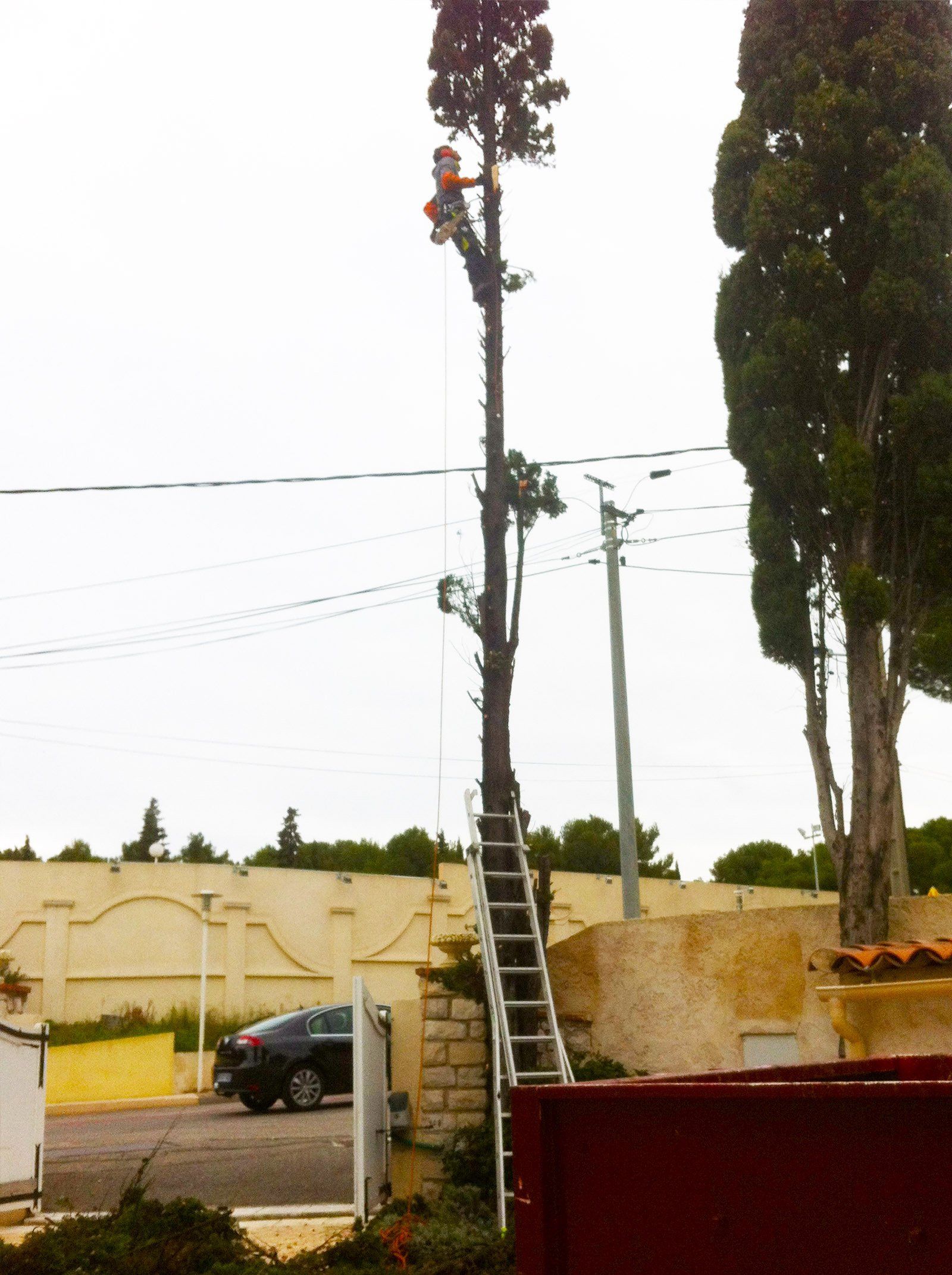 Access Vert paysagiste Aix en Provence Abatage et élagage