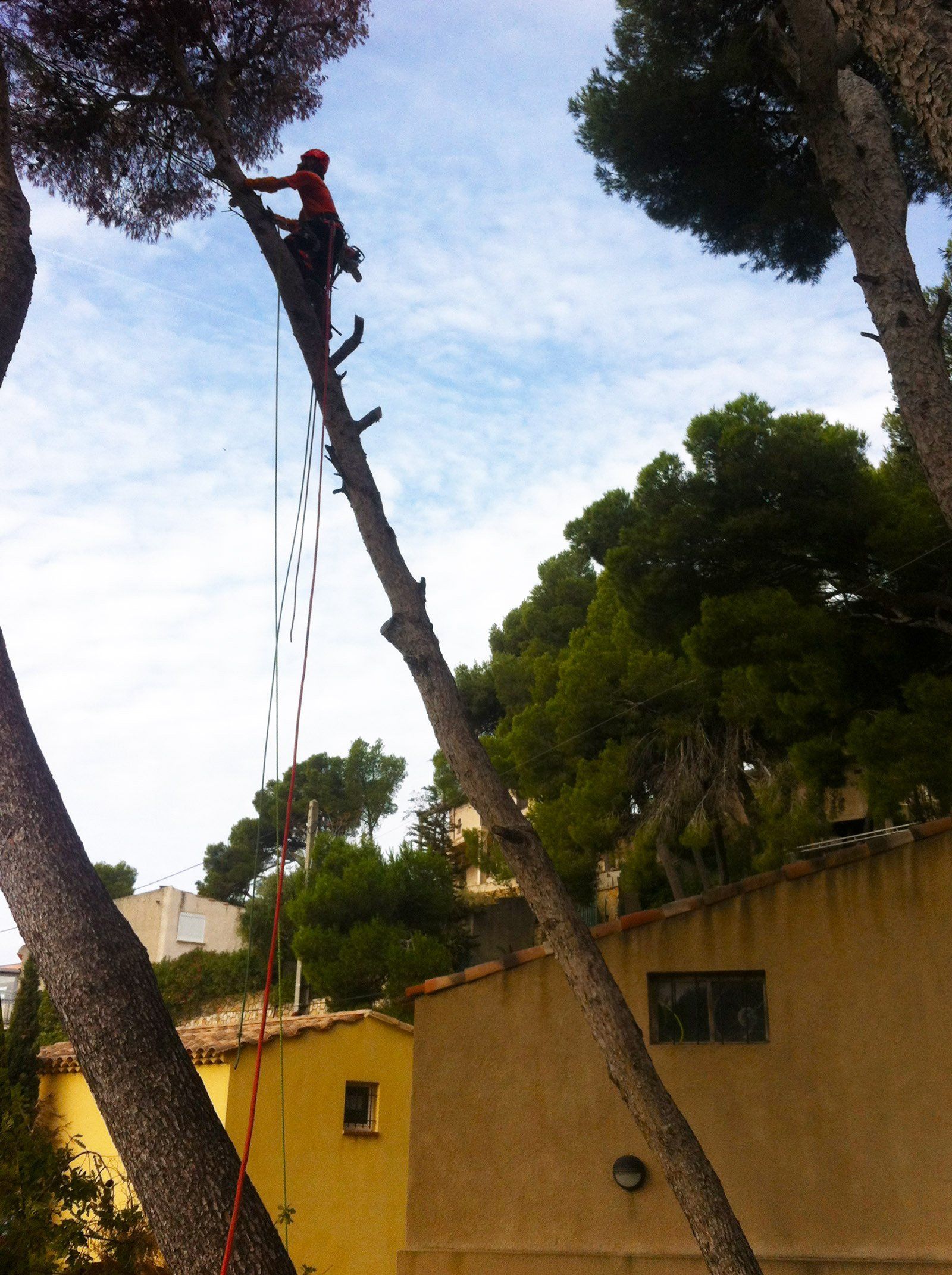 Access Vert paysagiste Aix en Provence Abatage et élagage