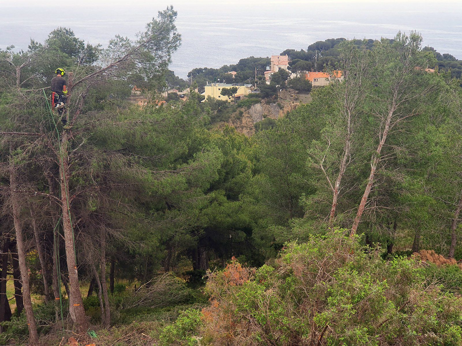 Access Vert paysagiste Aix en Provence Abatage et élagage